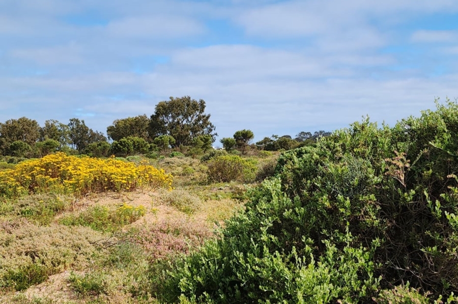 0 Bedroom Property for Sale in Brittania Beach Estate Western Cape